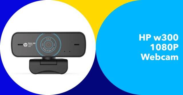 HP w300 FHD Webcam with Dual Digital Mic for Discord, Zoom, and Skype